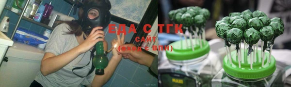 гидра Карпинск