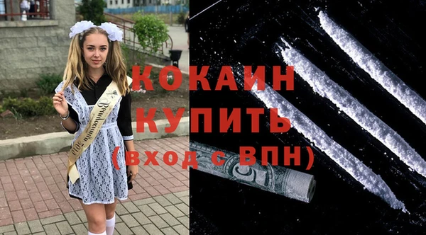 гидра Карпинск