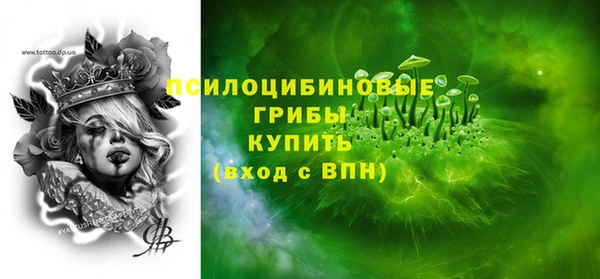 ECSTASY Каменка
