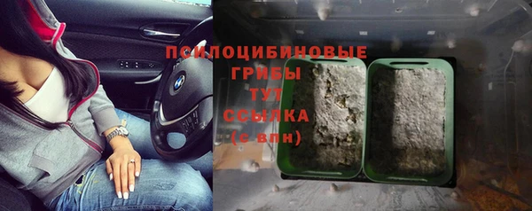 метадон Каменногорск