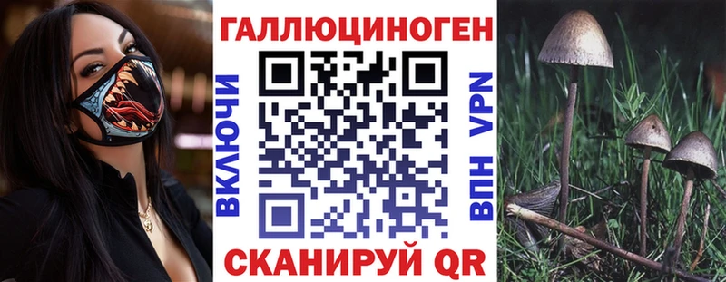 Купить где  Слюдянка  Псилоцибиновые грибы Magic Shrooms 